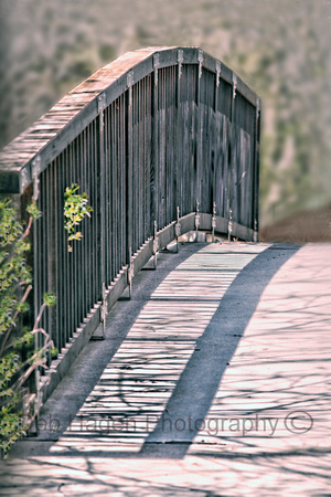Gray wood bridge