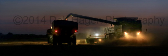 Late evening Harvest with John Deere