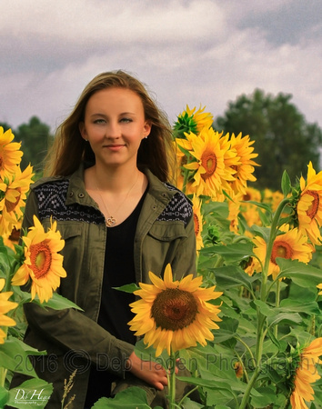 sunflowers_9540
